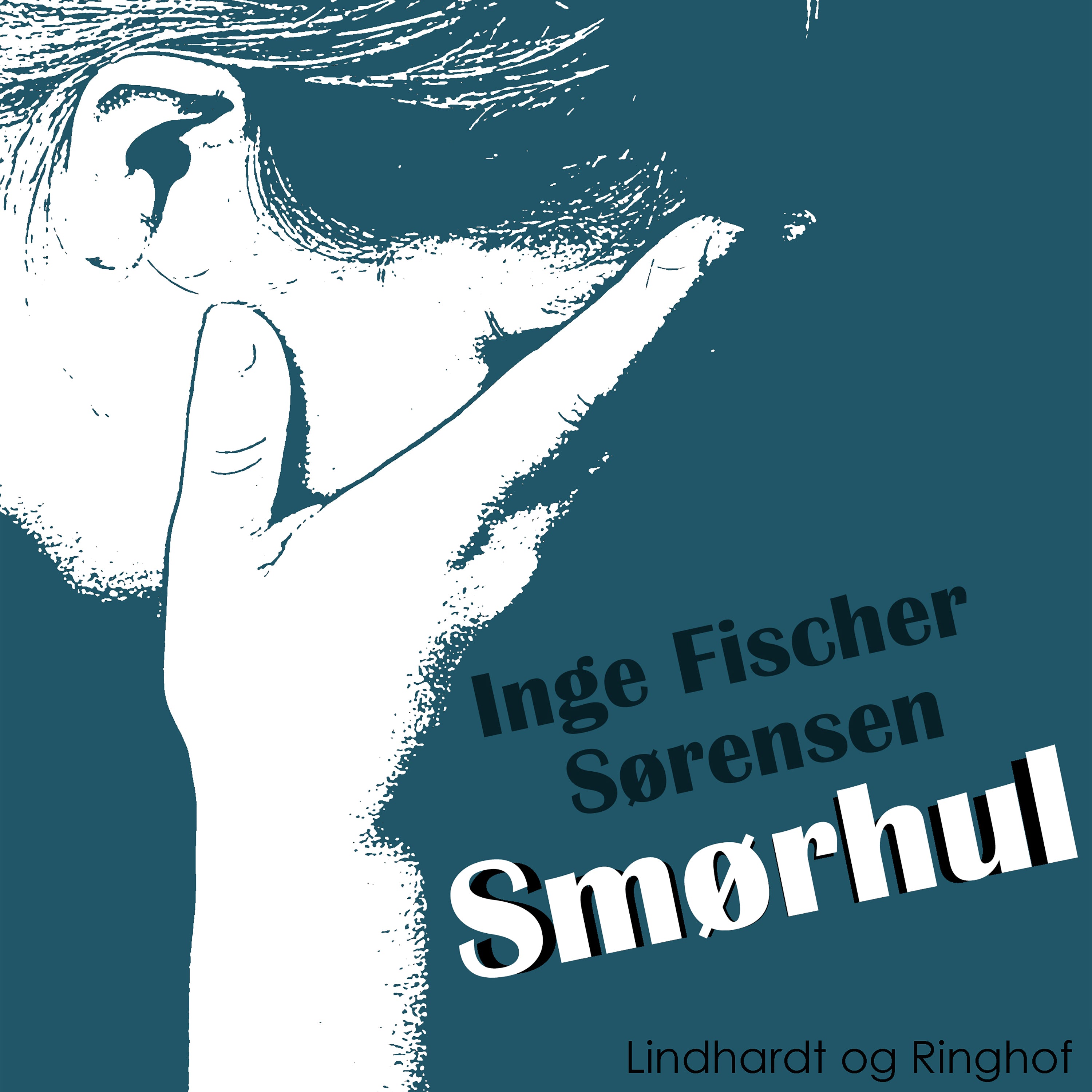 Forside billede